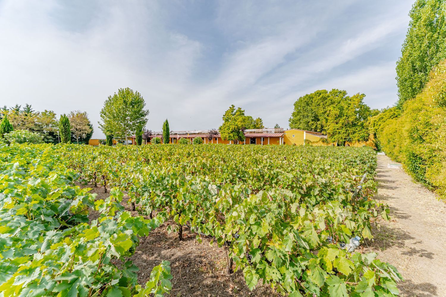 Propiedad en venta en Valladolid, Laguna de Duero