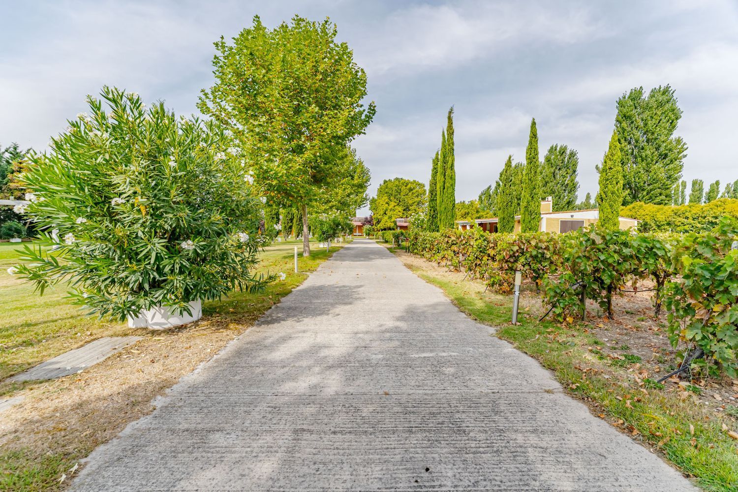 Propiedad en venta en Valladolid, Laguna de Duero