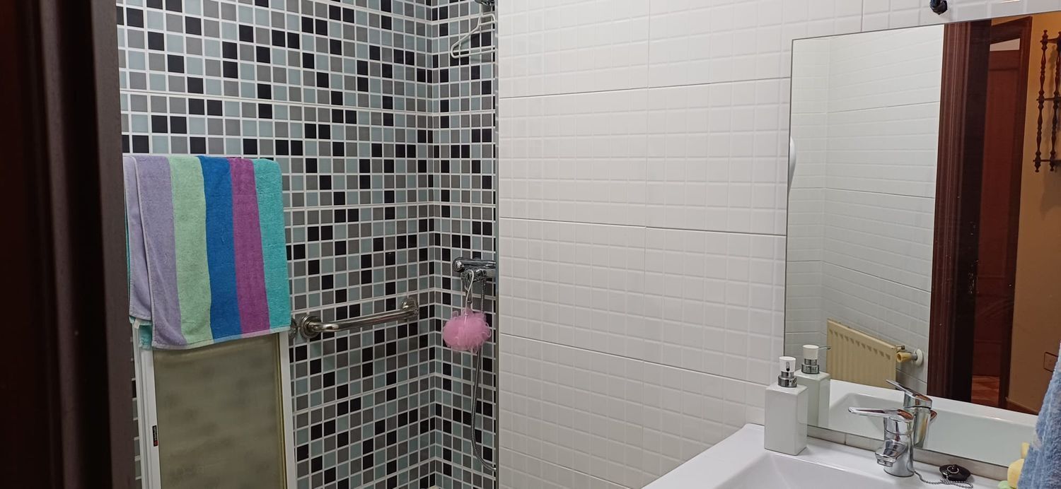 Pisos-Venta-Mieres-2210261-Foto-47