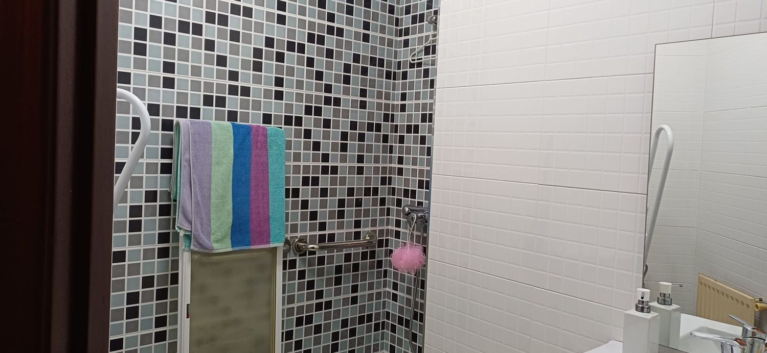 Pisos-Venta-Mieres-2210261-Foto-49