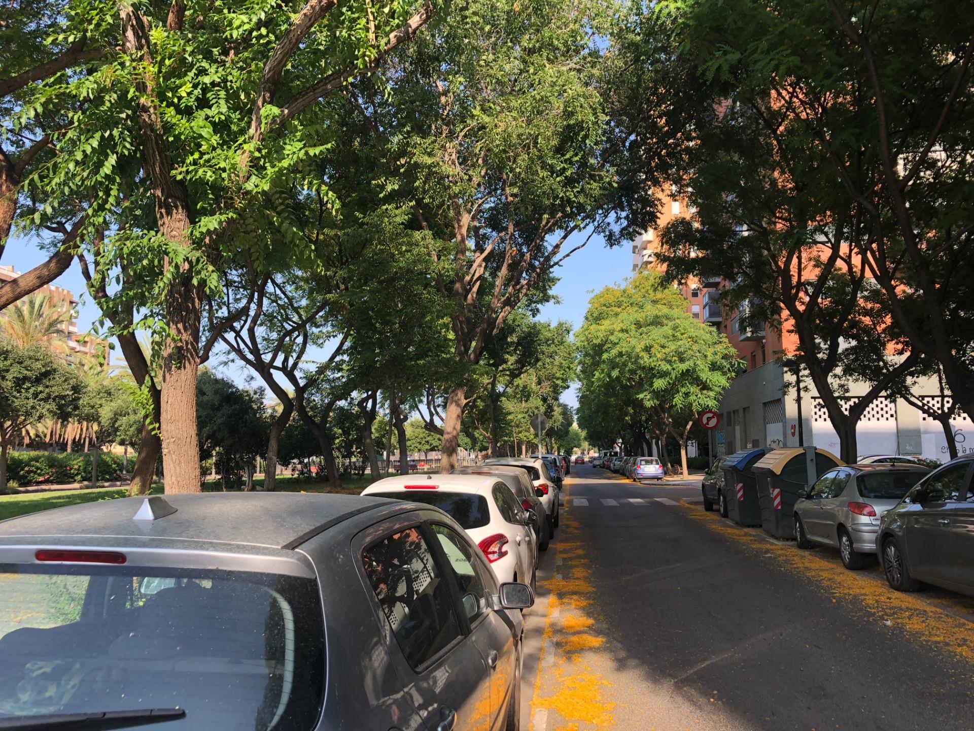 Pisos-Alquiler-Valencia-2178168