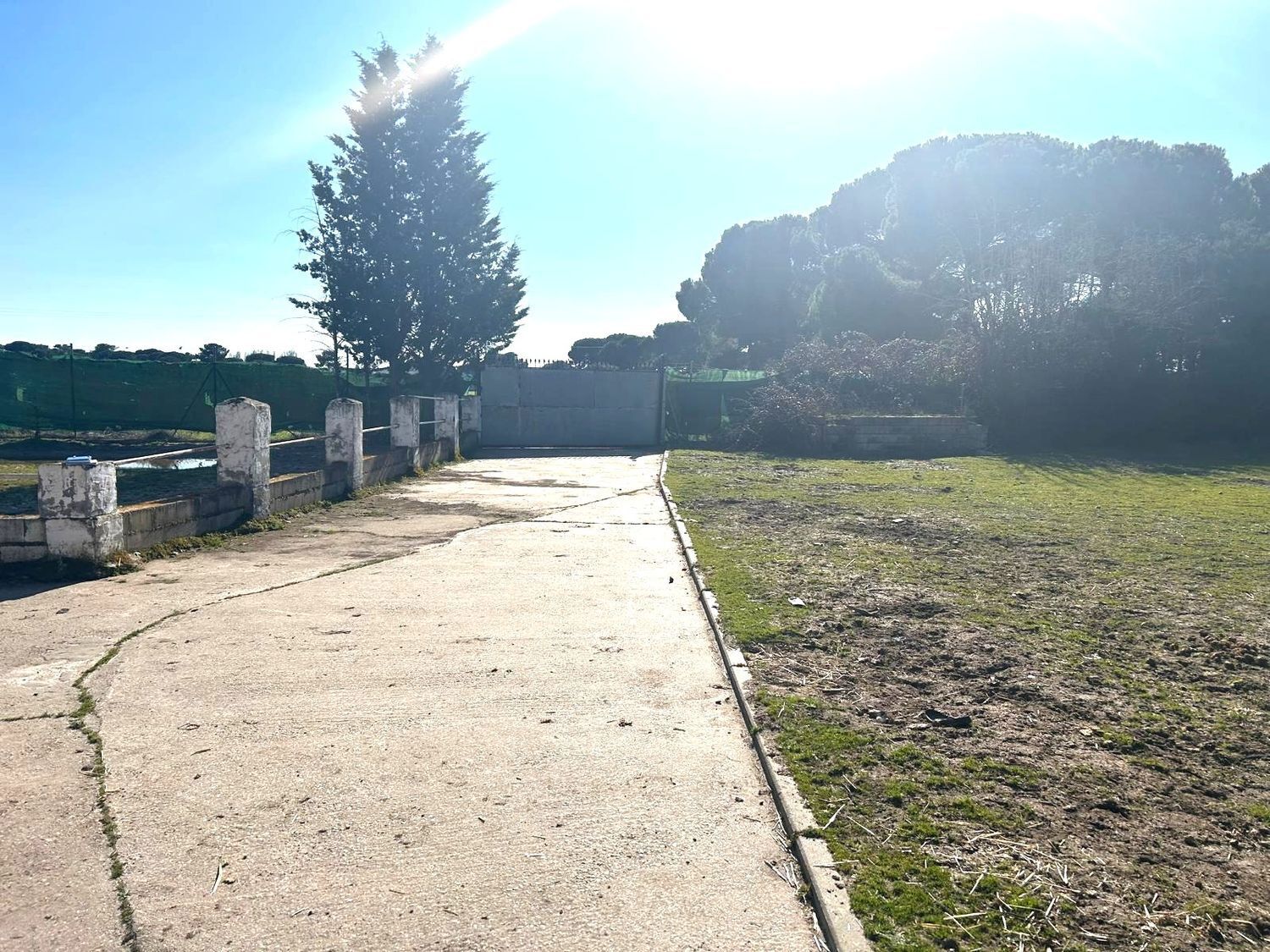 Fincas y solares-Venta-Laguna de Duero-2210283-Foto-2