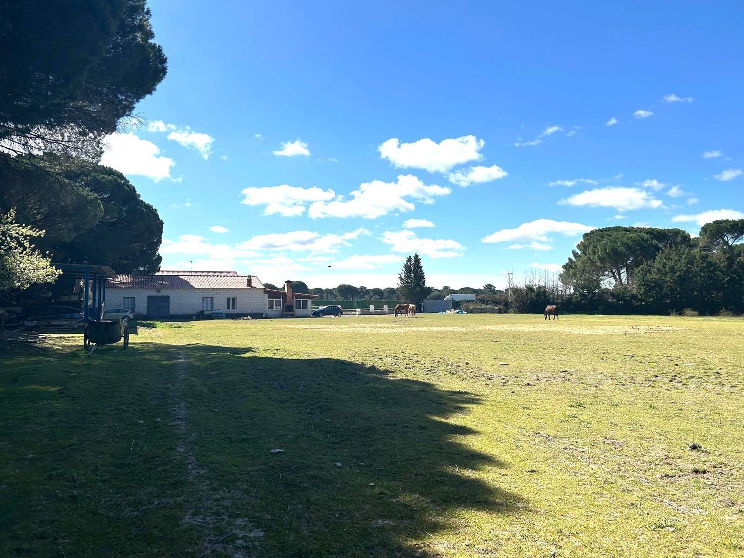 Fincas y solares-Venta-2210283