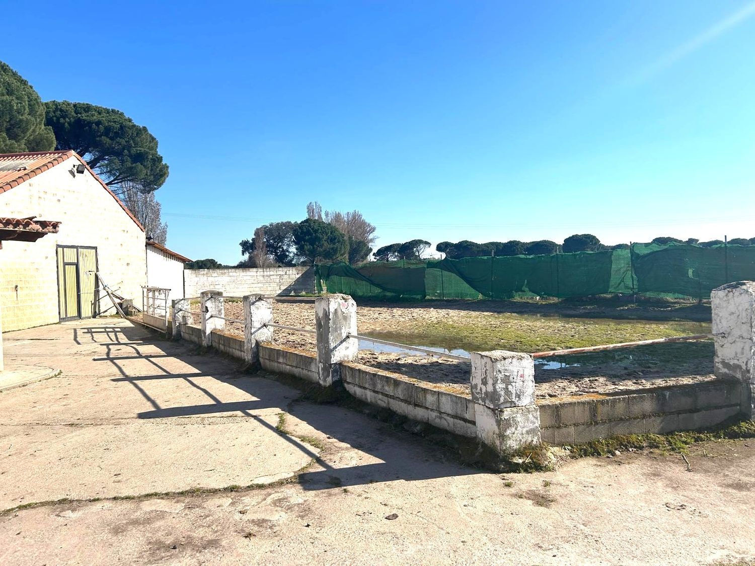 Fincas y solares-Venta-Laguna de Duero-2210283-Foto-6