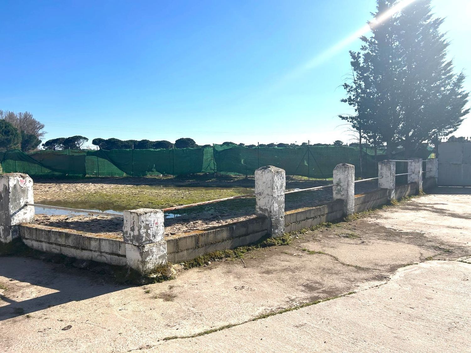 Fincas y solares-Venta-Laguna de Duero-2210283-Foto-5