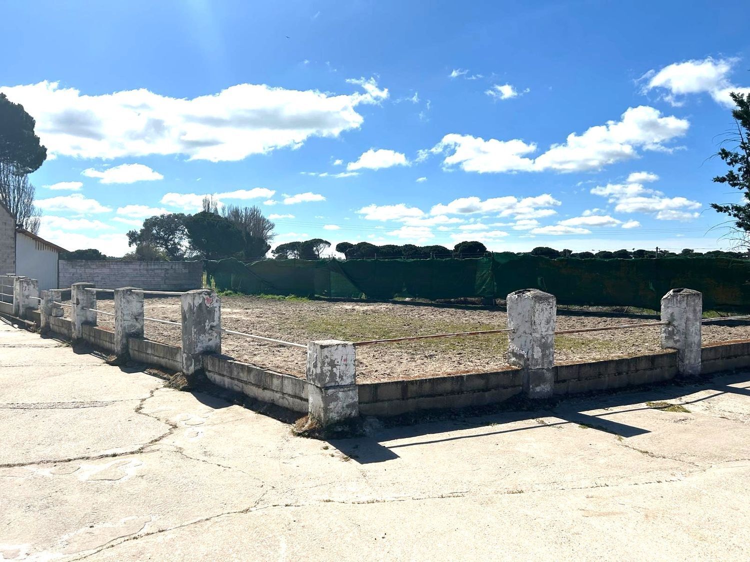 Fincas y solares-Venta-Laguna de Duero-2210283-Foto-7