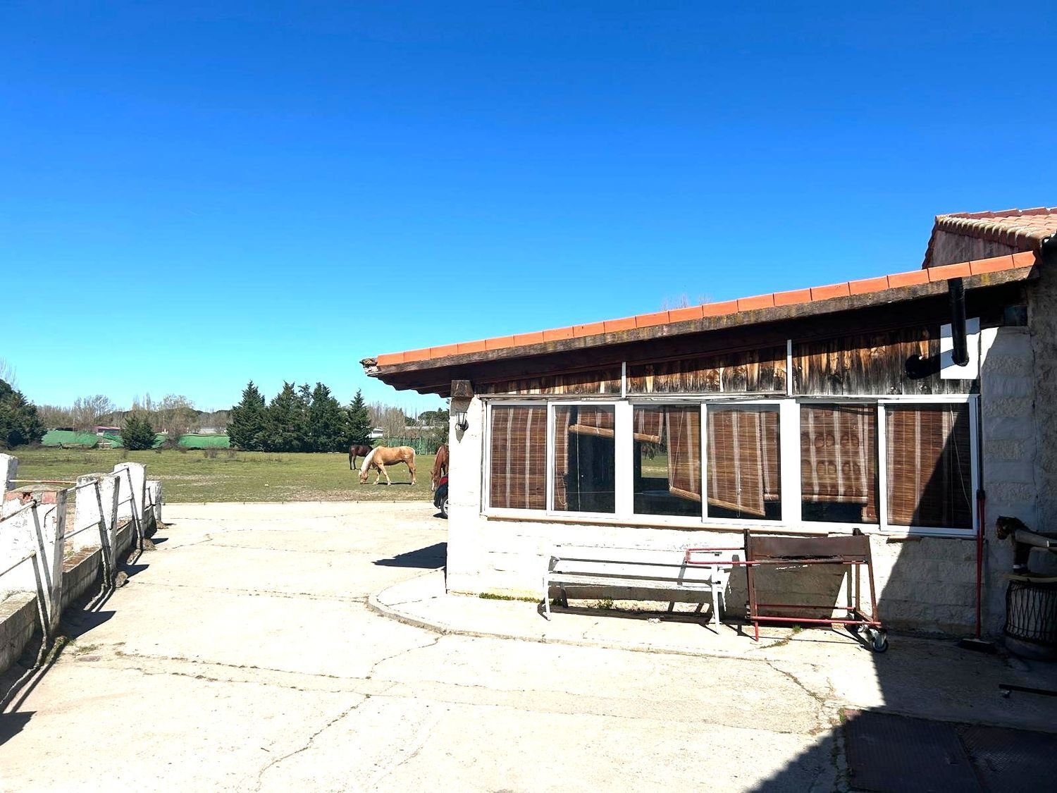 Fincas y solares-Venta-Laguna de Duero-2210283-Foto-12