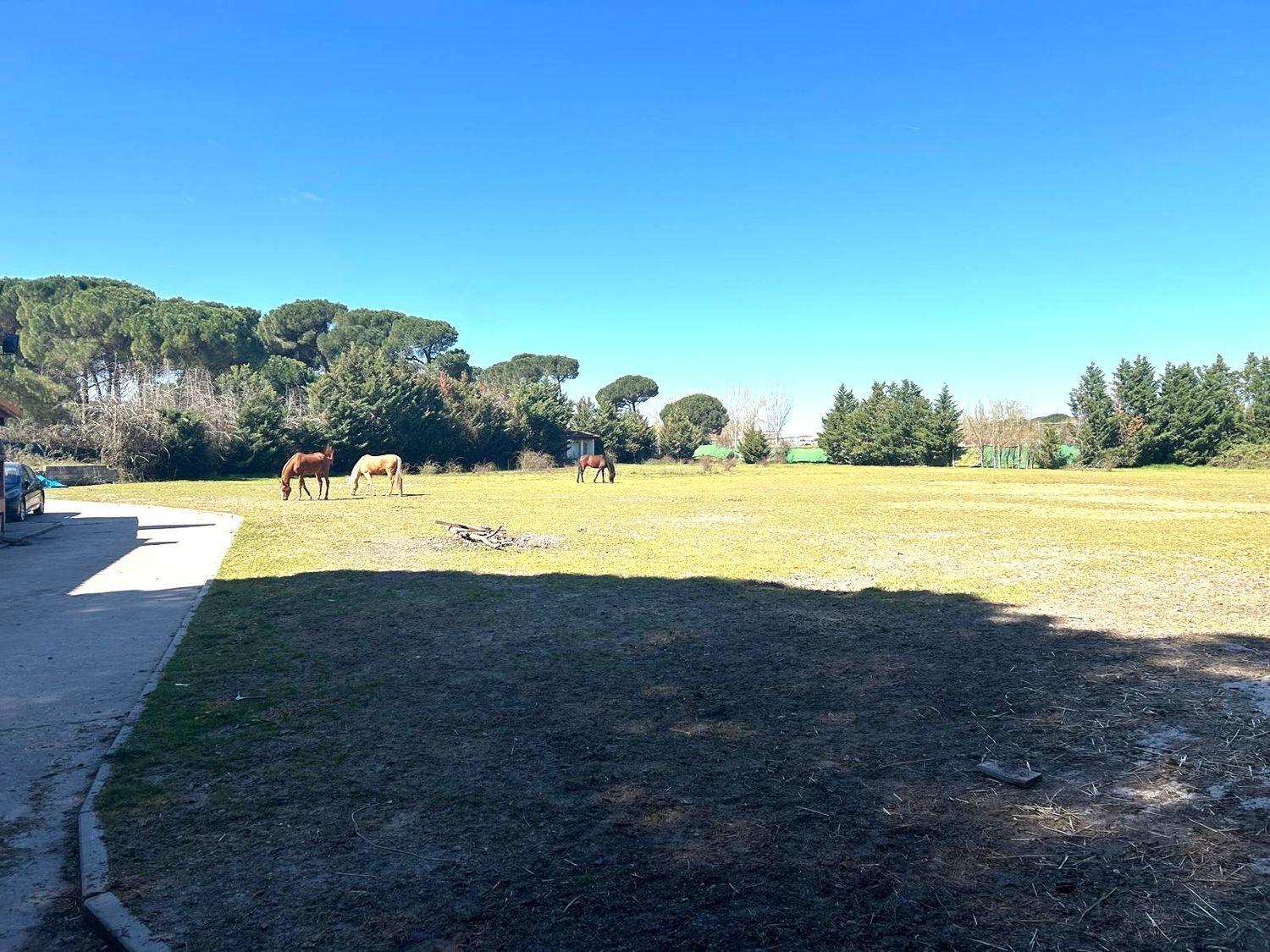 Fincas y solares-Venta-Laguna de Duero-2210283-Foto-27