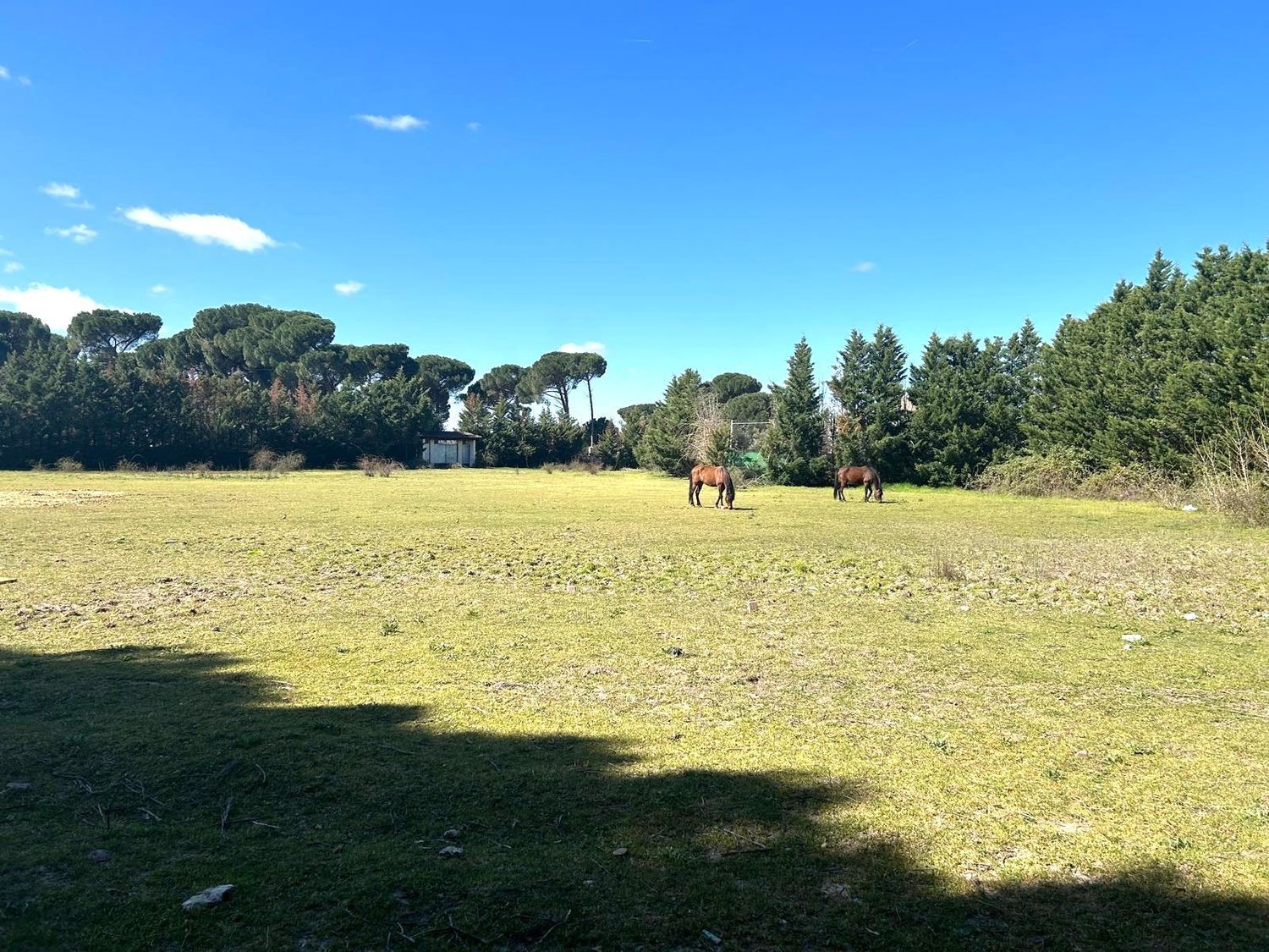 Fincas y solares-Venta-Laguna de Duero-2210283-Foto-24