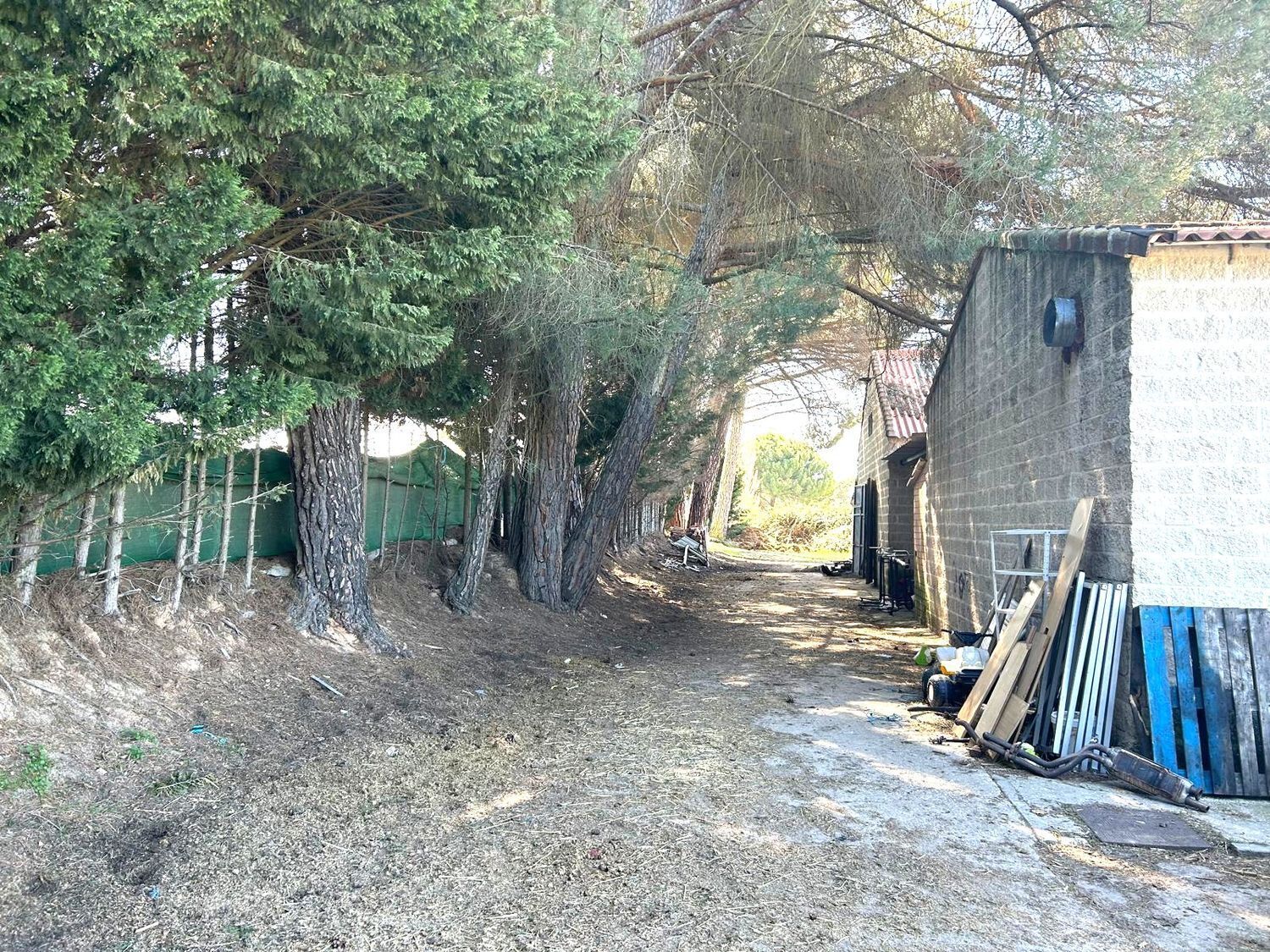 Fincas y solares-Venta-Laguna de Duero-2210283-Foto-26