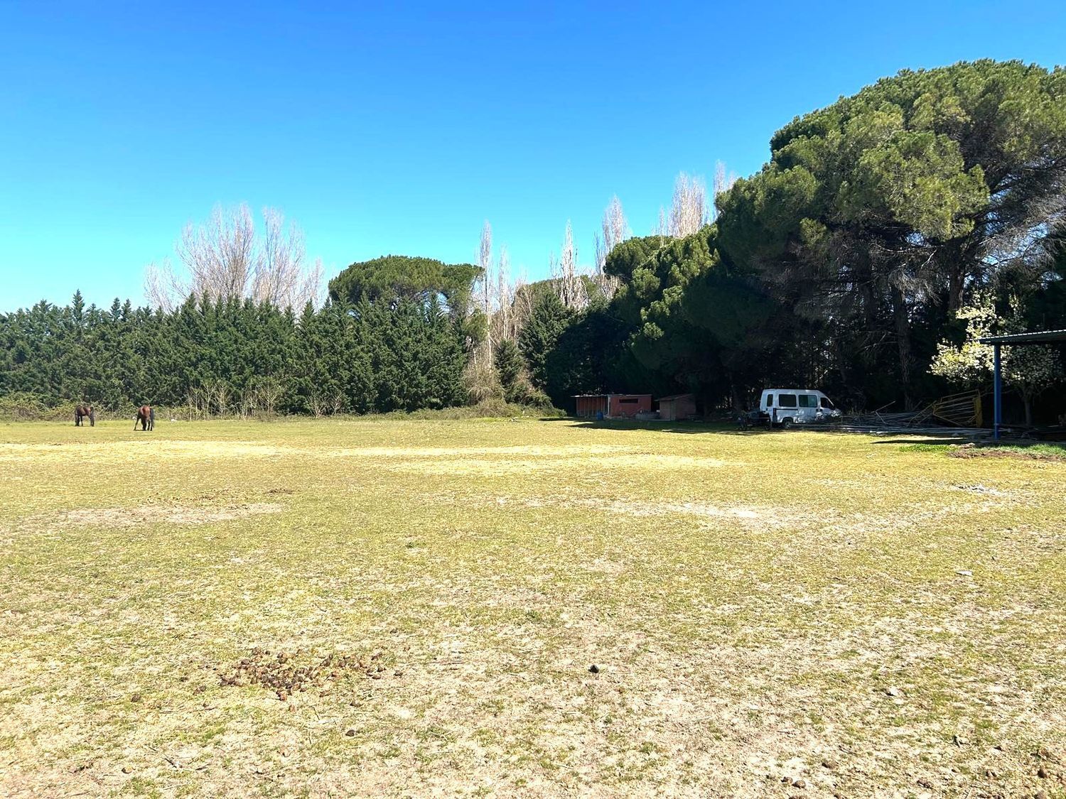 Fincas y solares-Venta-Laguna de Duero-2210283-Foto-25