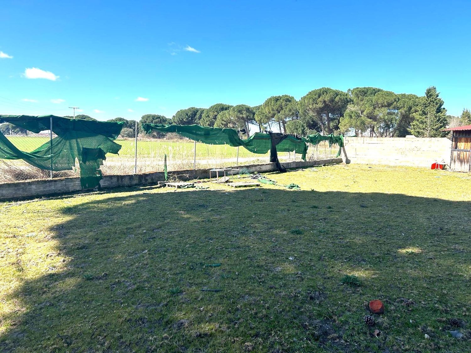 Fincas y solares-Venta-Laguna de Duero-2210283-Foto-32