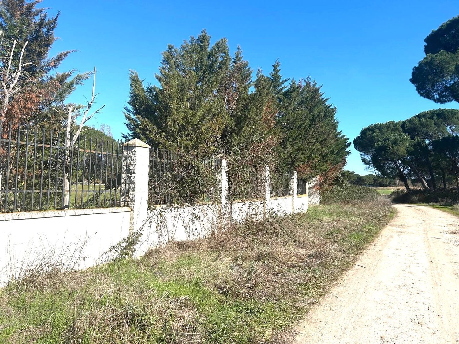 Fincas y solares-Venta-Laguna de Duero-2210283-Foto-35