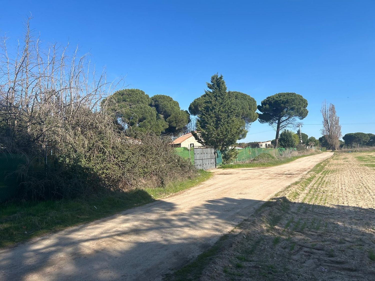 Fincas y solares-Venta-Laguna de Duero-2210283-Foto-37