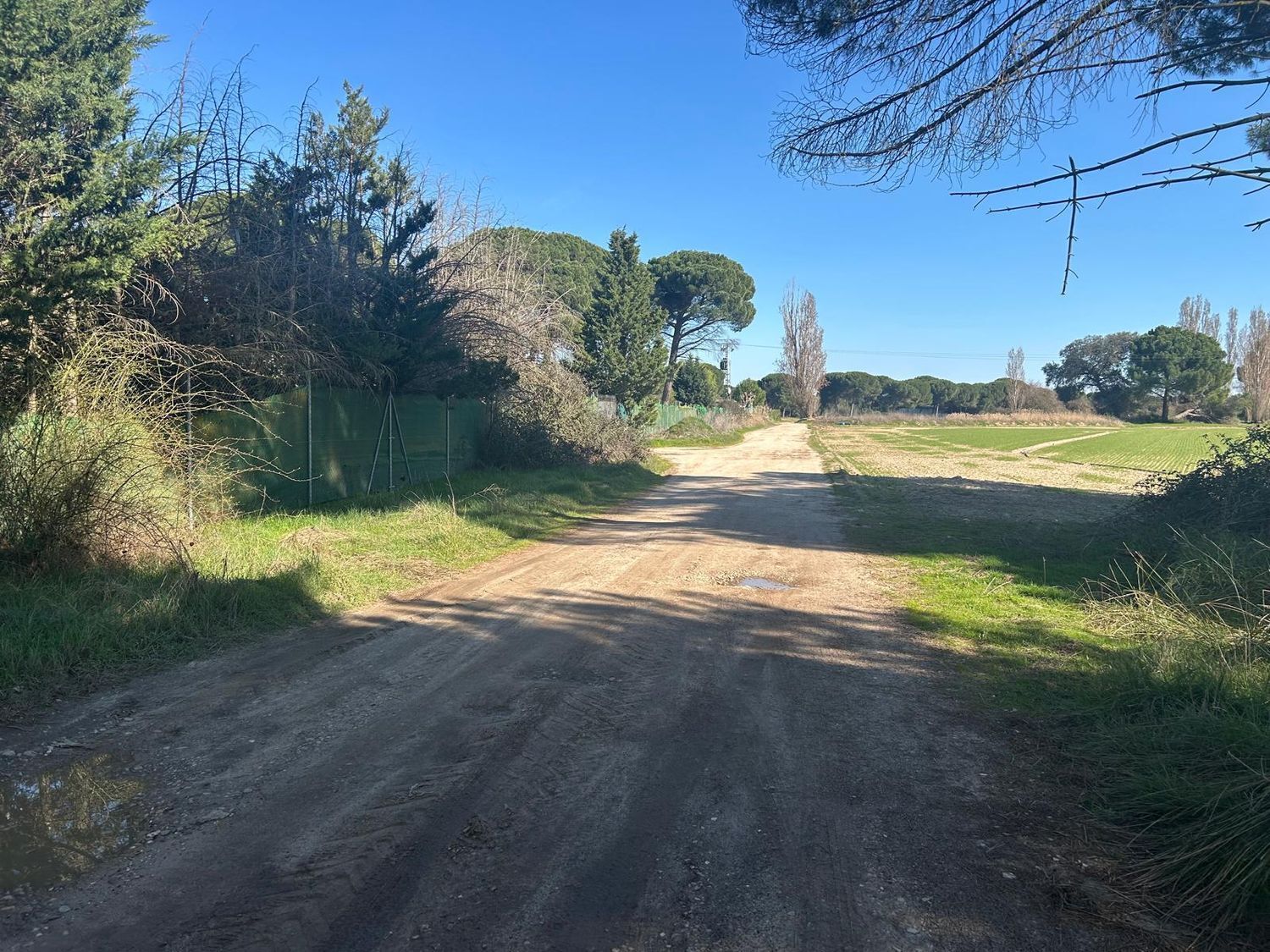 Fincas y solares-Venta-Laguna de Duero-2210283-Foto-36