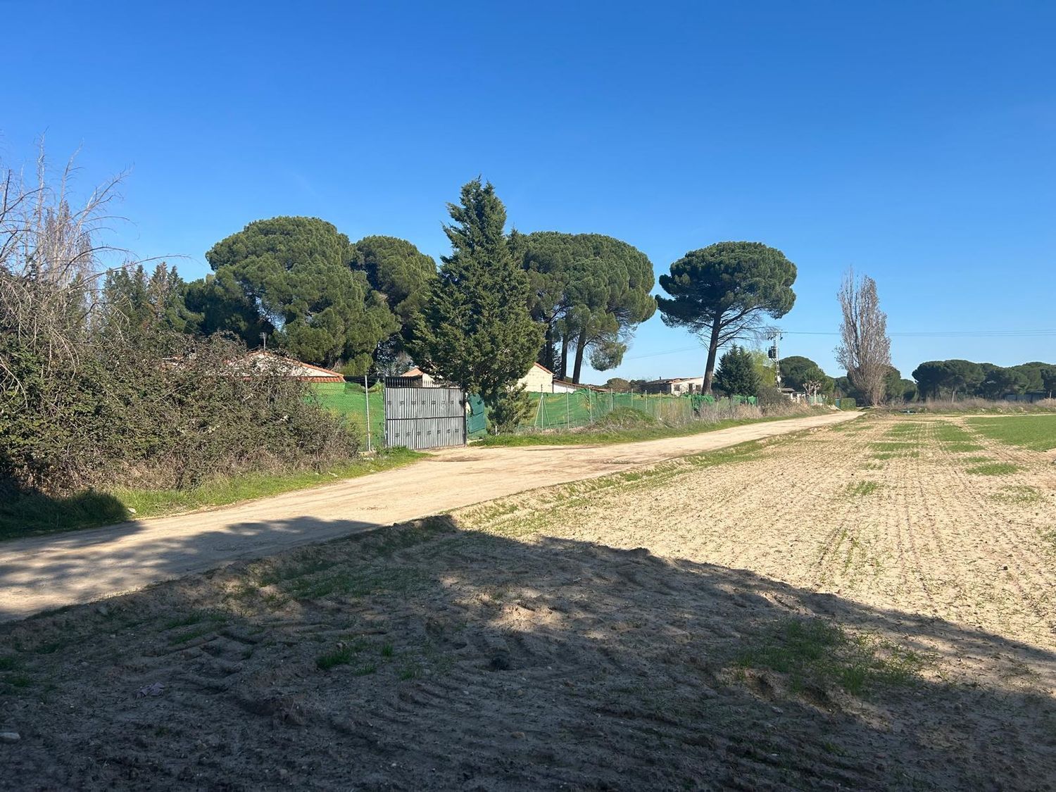 Fincas y solares-Venta-Laguna de Duero-2210283-Foto-38