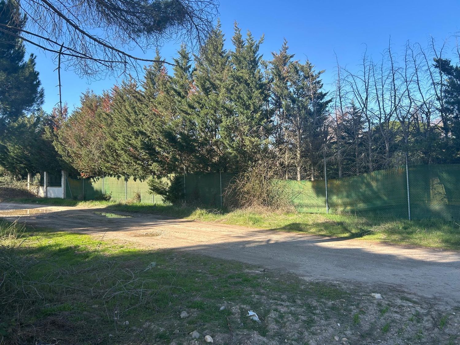 Fincas y solares-Venta-Laguna de Duero-2210283-Foto-39