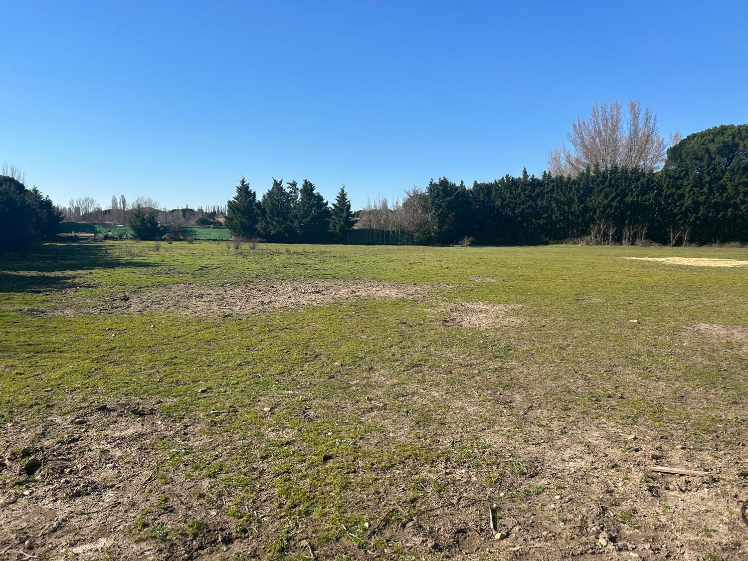 Fincas y solares-Venta-Laguna de Duero-2210283-Foto-43