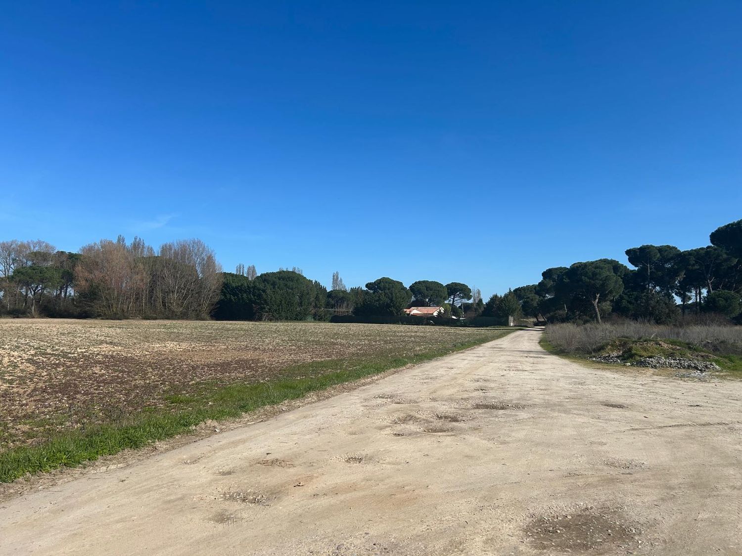 Fincas y solares-Venta-Laguna de Duero-2210283-Foto-46