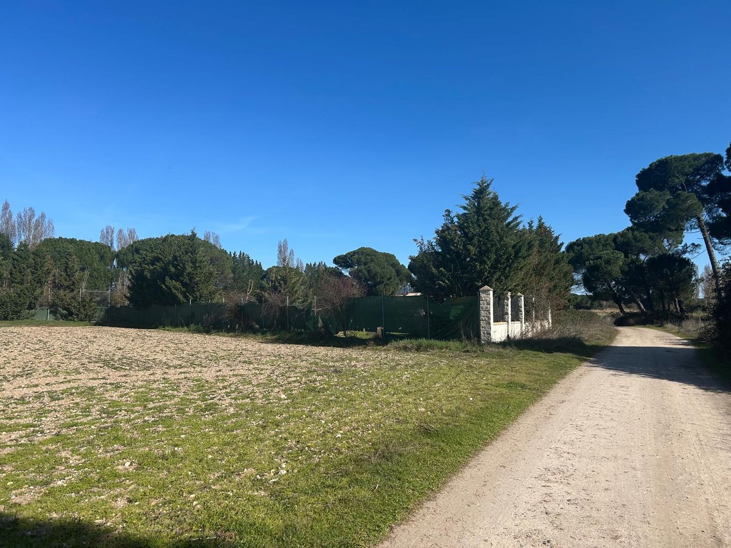 Fincas y solares-Venta-Laguna de Duero-2210283-Foto-45