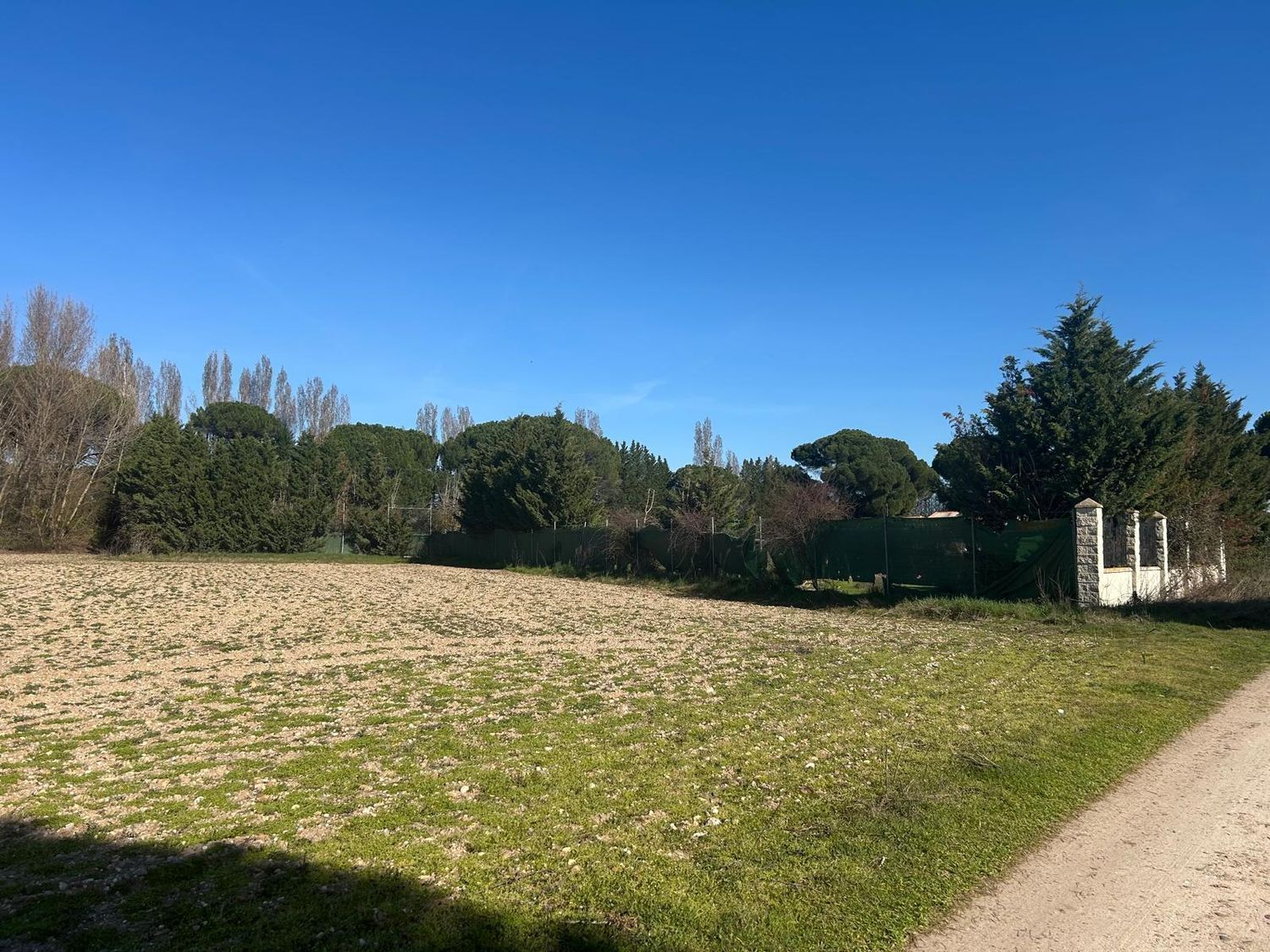 Fincas y solares-Venta-Laguna de Duero-2210283-Foto-47