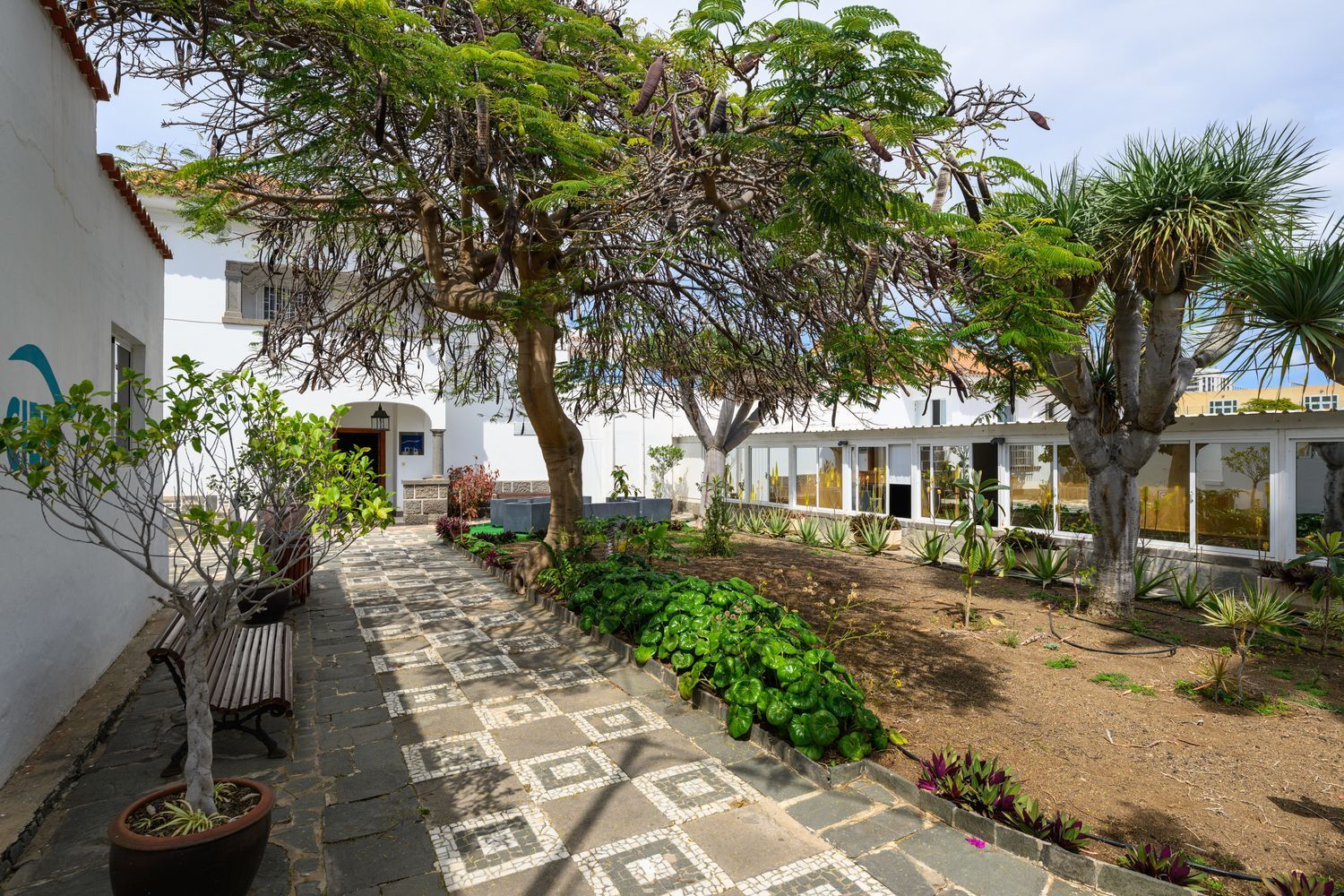 Casas o chalets-Venta-Las Palmas de Gran Canaria-2210286-Foto-112