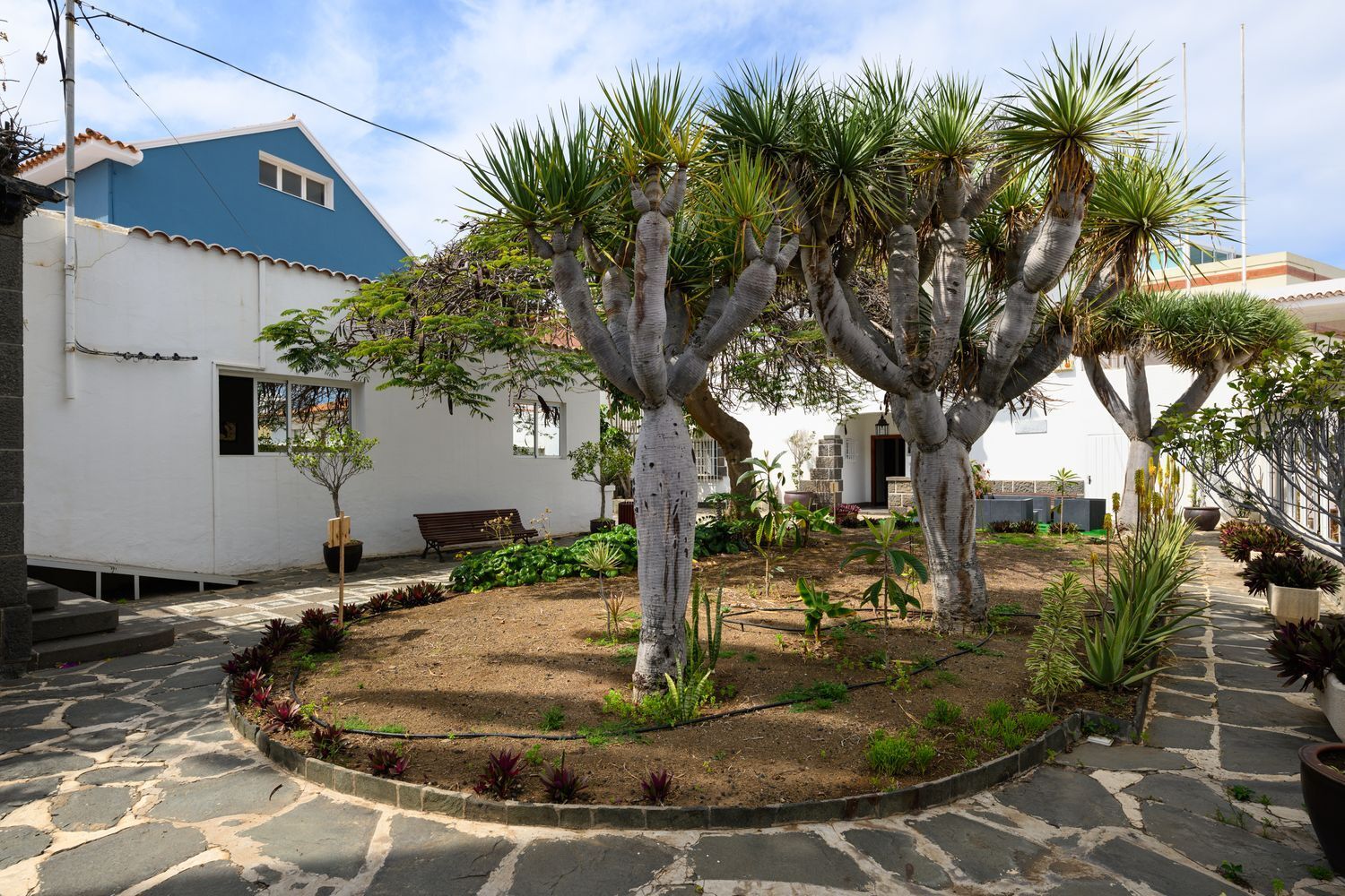 Casas o chalets-Venta-Las Palmas de Gran Canaria-2210286-Foto-113