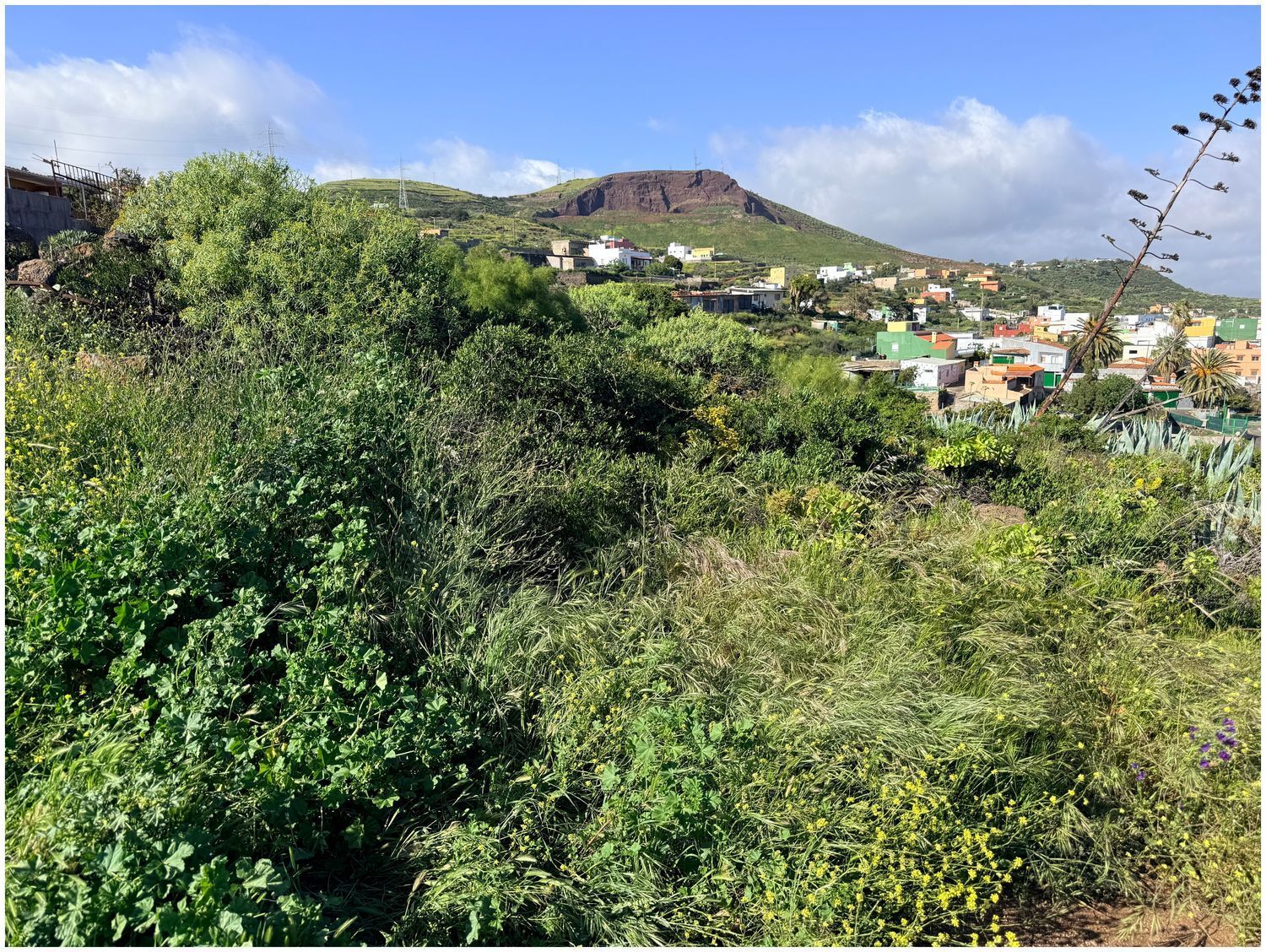 Fincas y solares-Venta-El Rosario-2210292-Foto-3