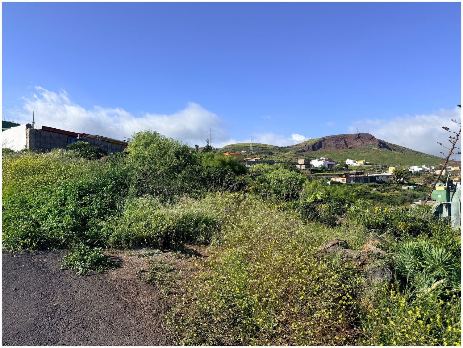 Fincas y solares-Venta-El Rosario-2210292-Foto-5