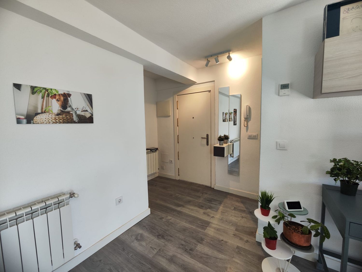 Pisos-Venta-Madrid-2210304-Foto-14