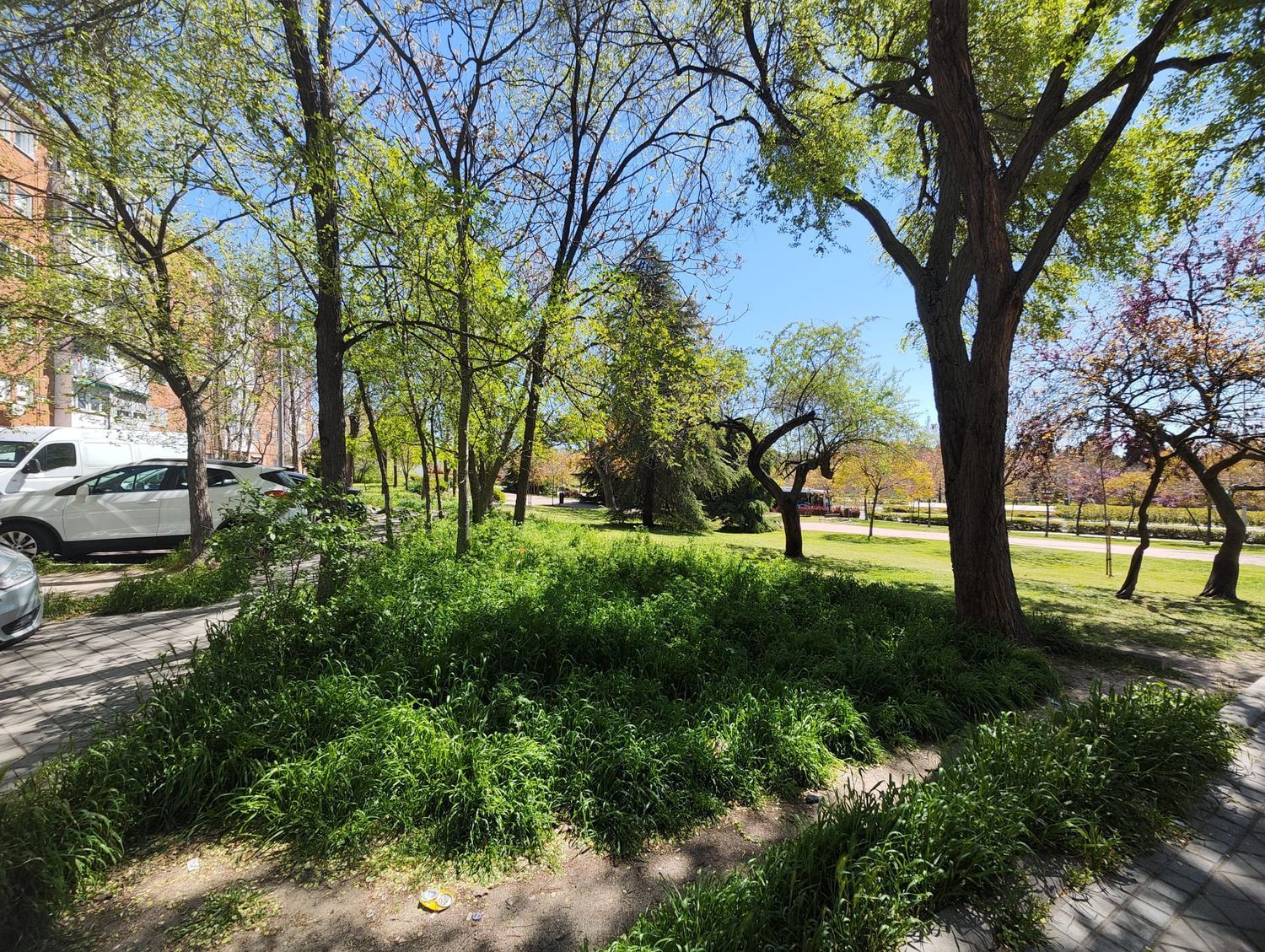 Pisos-Venta-Madrid-2210304-Foto-33