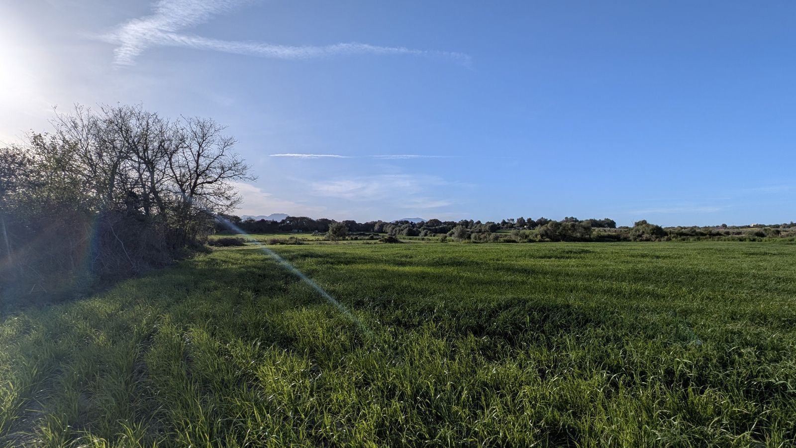 Fincas y solares-Venta-Muro de Alcoy-2092814