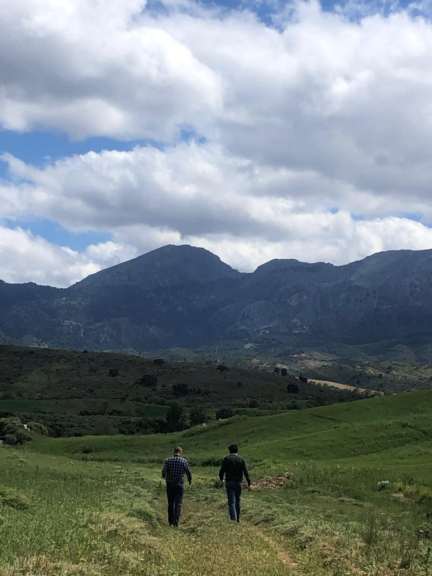 Fincas y solares-Venta-Ardales-2210561-Foto-15