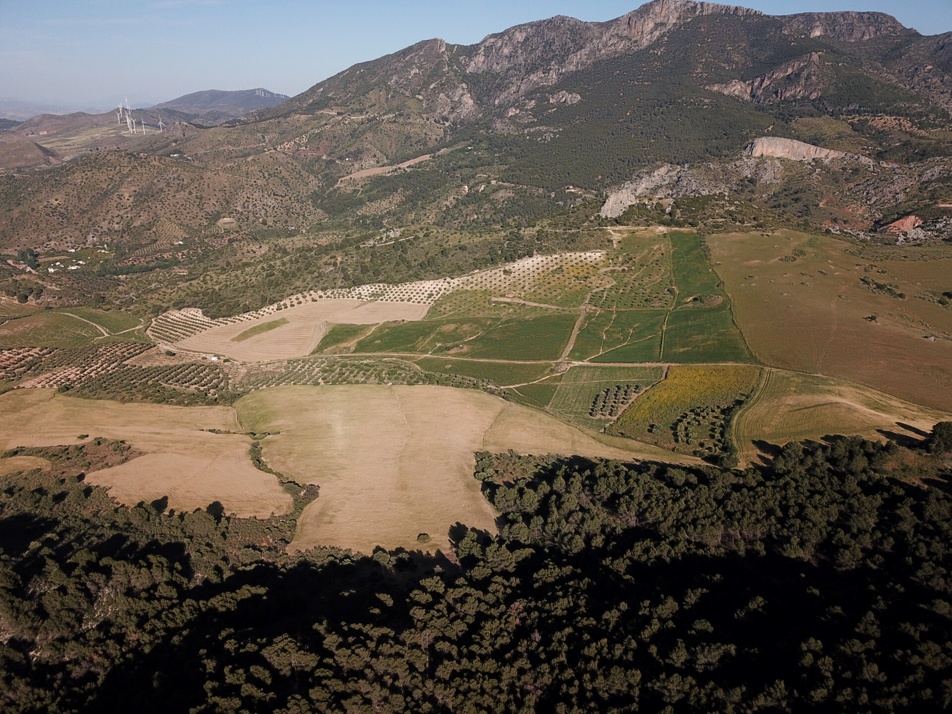 Fincas y solares-Venta-Ardales-2210561-Foto-36