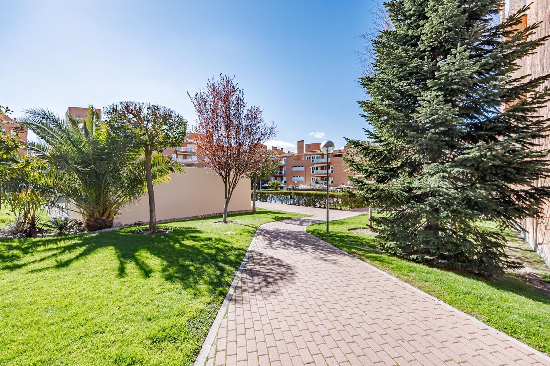 Pisos-Venta-Las Rozas de Madrid-2210597-Foto-42