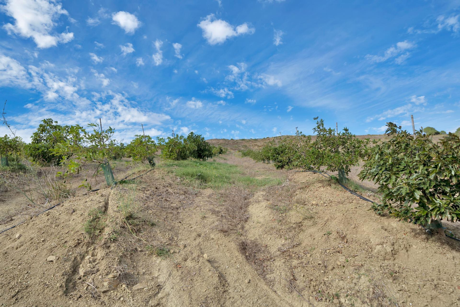 Fincas y solares-Venta-Manilva-1832825-Foto-25