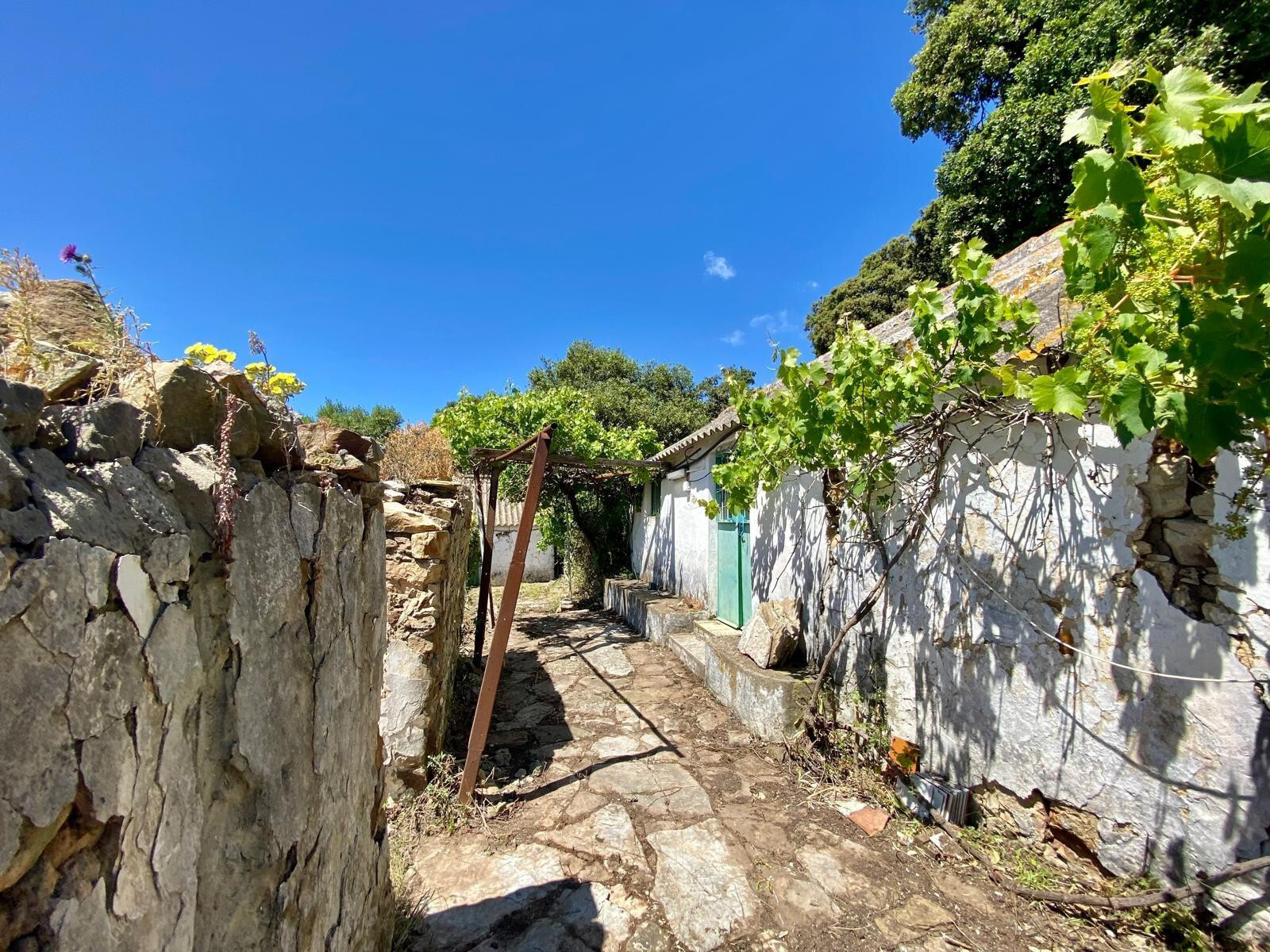 Fincas y solares-Venta-Tarifa-1830756-Foto-7