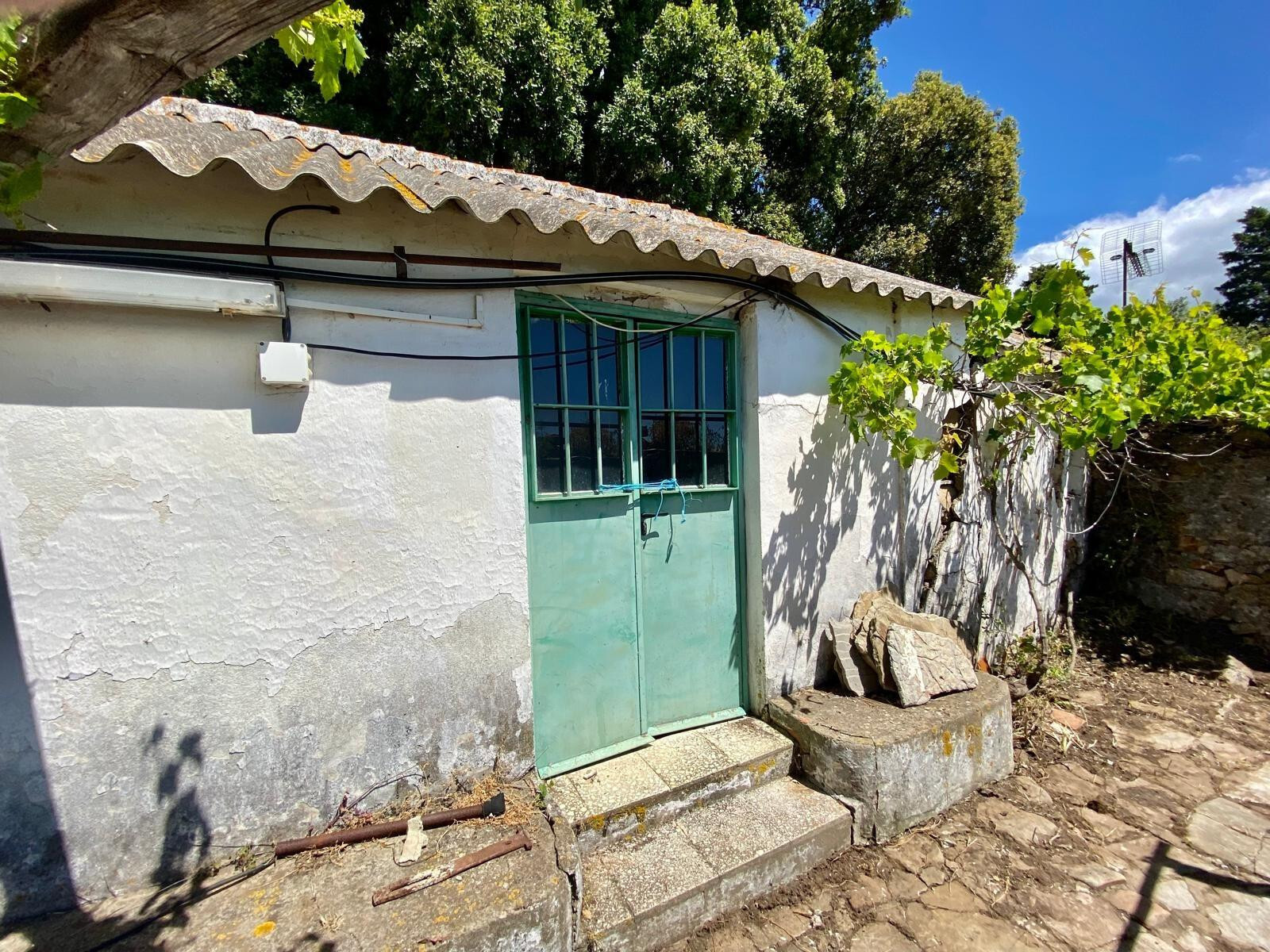 Fincas y solares-Venta-Tarifa-1830756-Foto-10