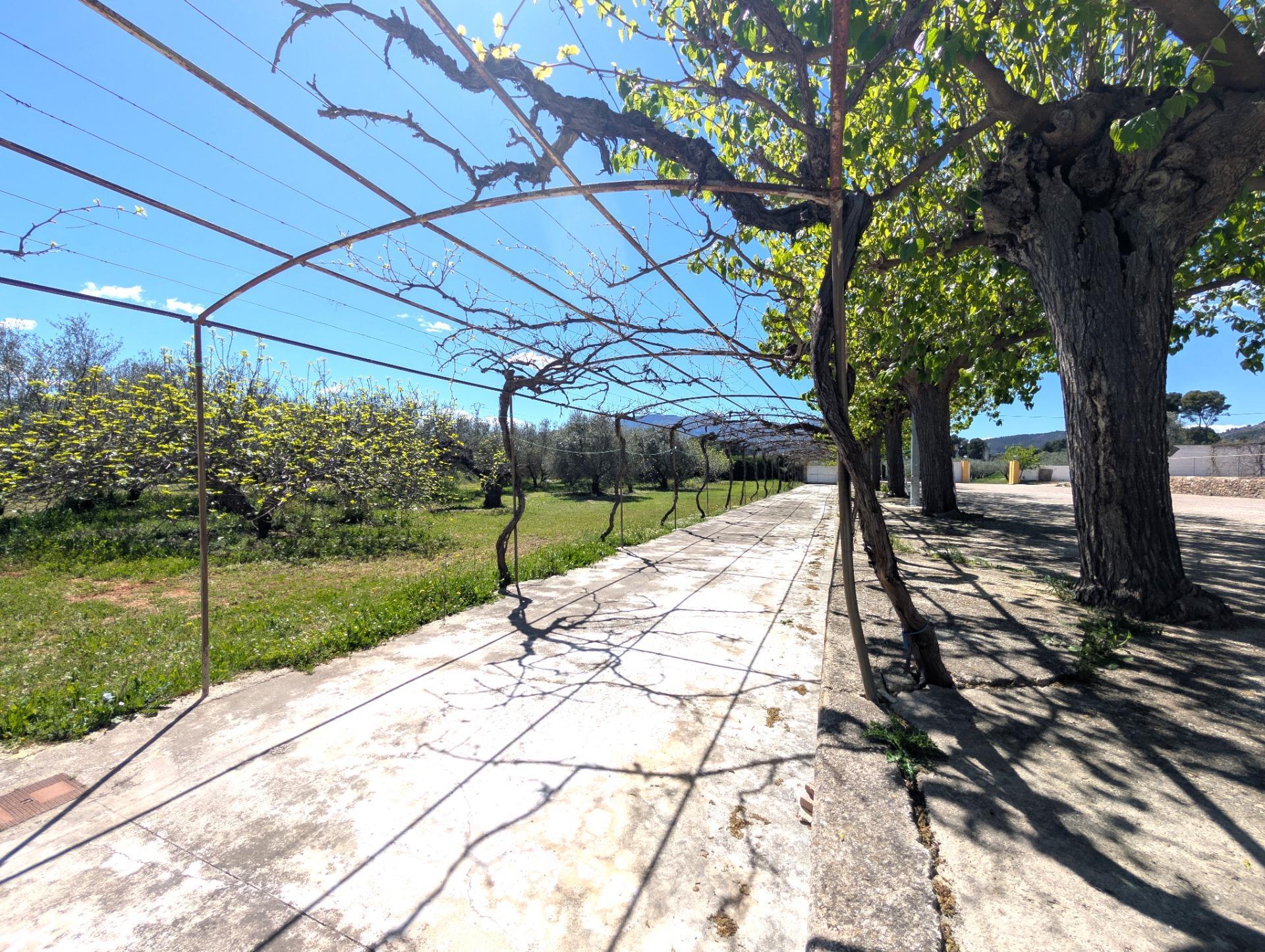 Casas o chalets-Venta-Gaianes-2207470-Foto-47