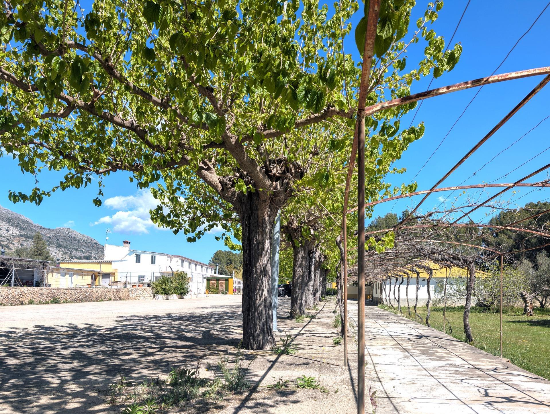 Casas o chalets-Venta-Gaianes-2207470-Foto-51