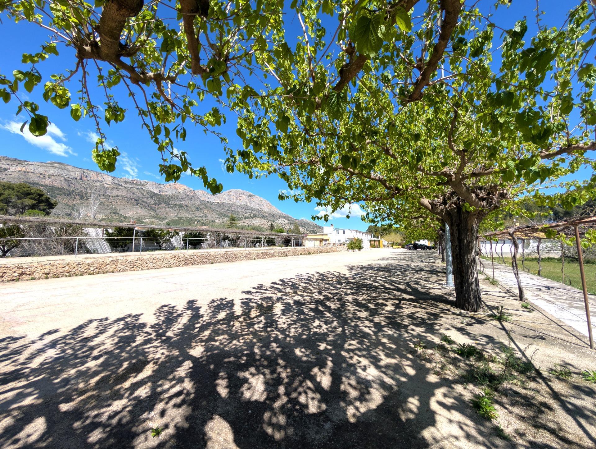 Casas o chalets-Venta-Gaianes-2207470-Foto-49