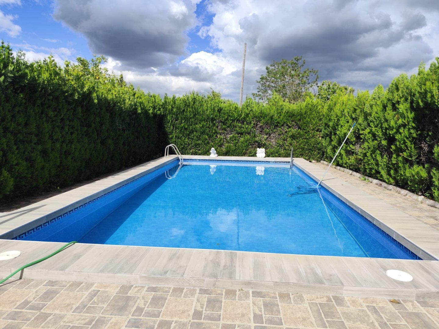 Casas o chalets-Venta-La Hinojosa-2210588-Foto-8