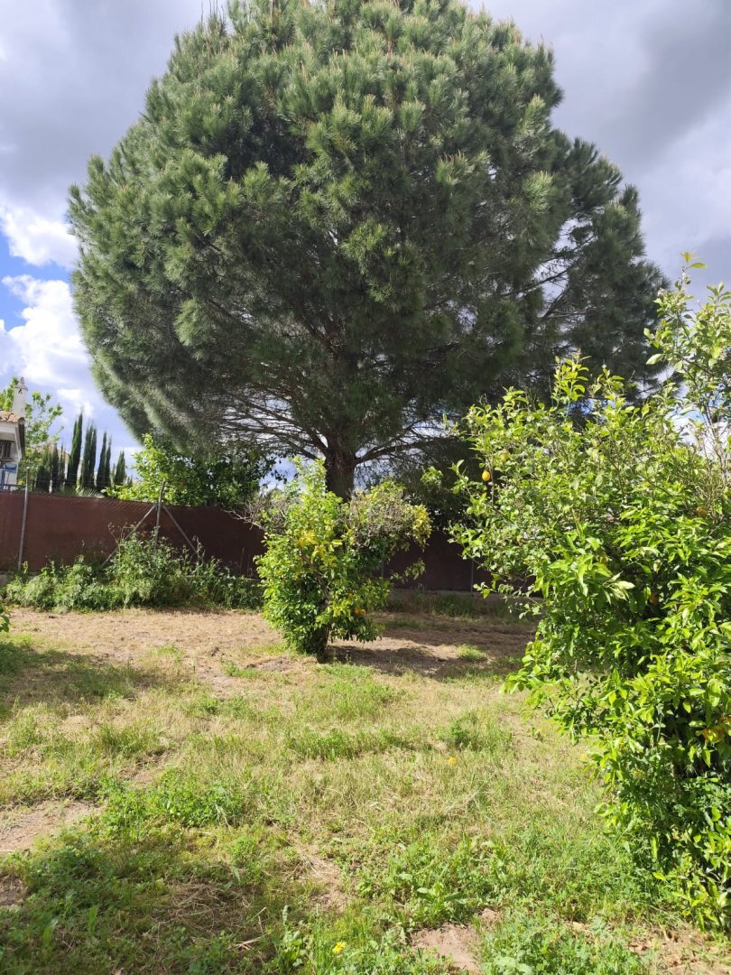 Casas o chalets-Venta-La Hinojosa-2210588-Foto-12