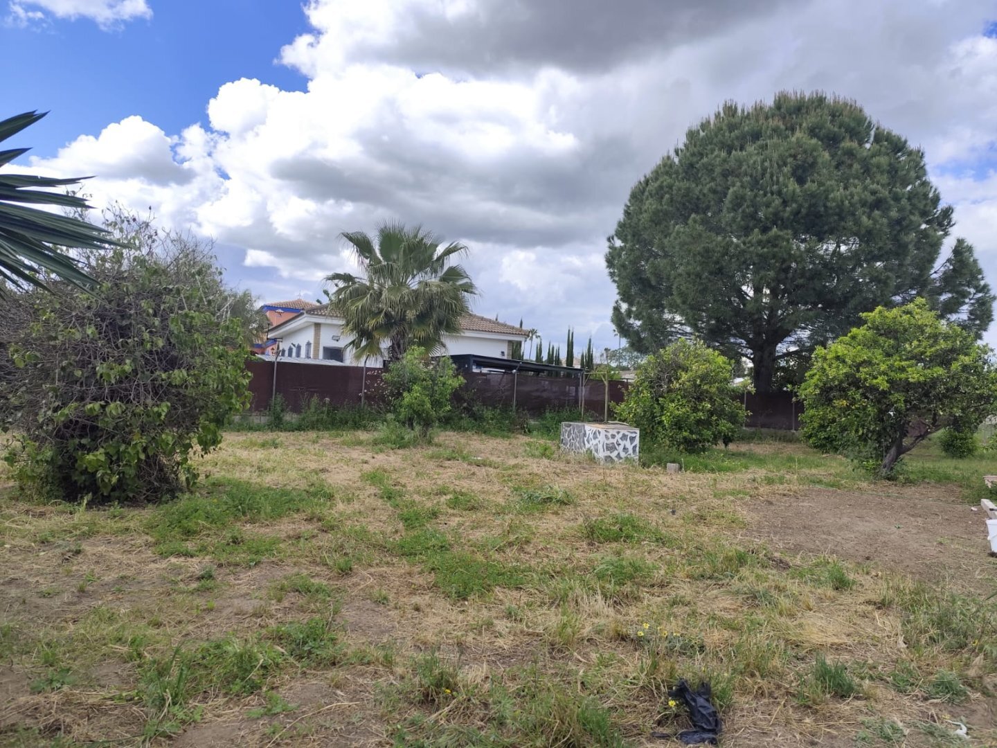 Casas o chalets-Venta-La Hinojosa-2210588-Foto-14