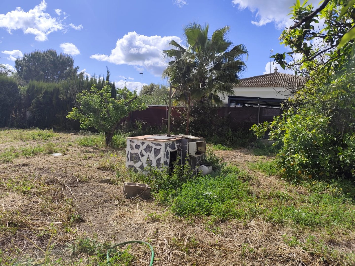 Casas o chalets-Venta-La Hinojosa-2210588-Foto-13