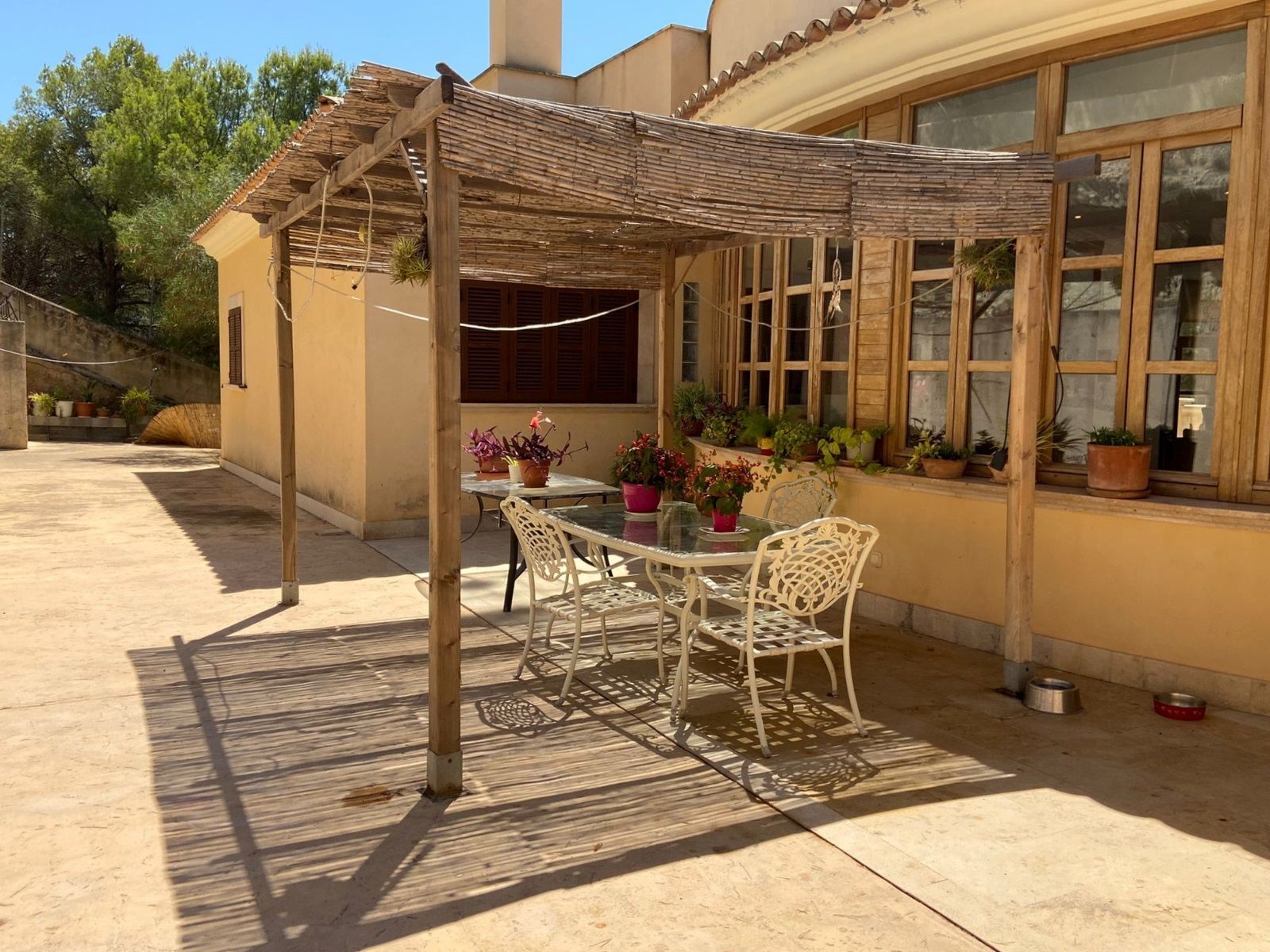 terraza posterior