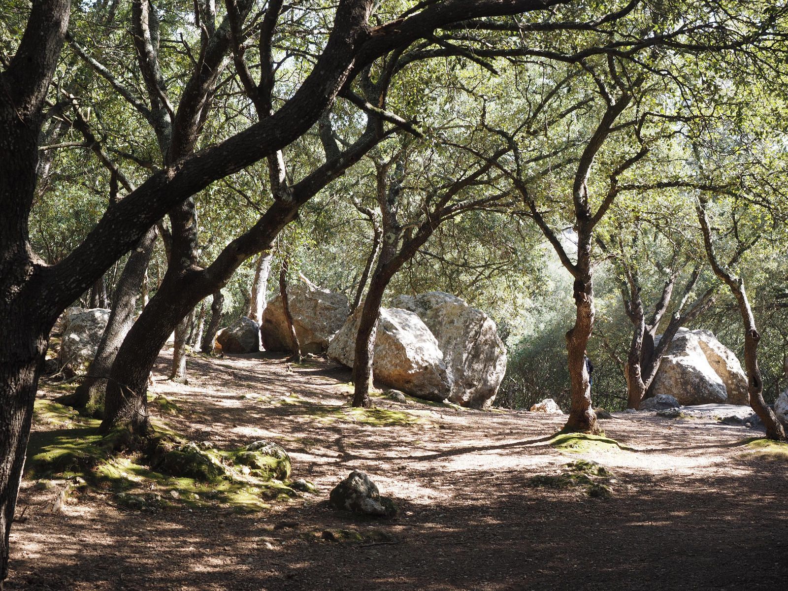 Pisos-Venta-Bunyola-1385546-Foto-18