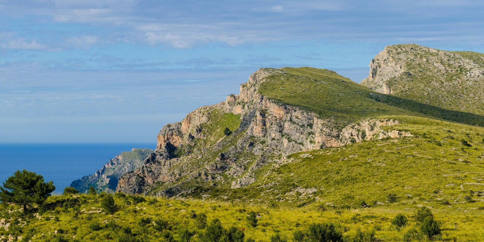 Pisos-Venta-Bunyola-1385546-Foto-19