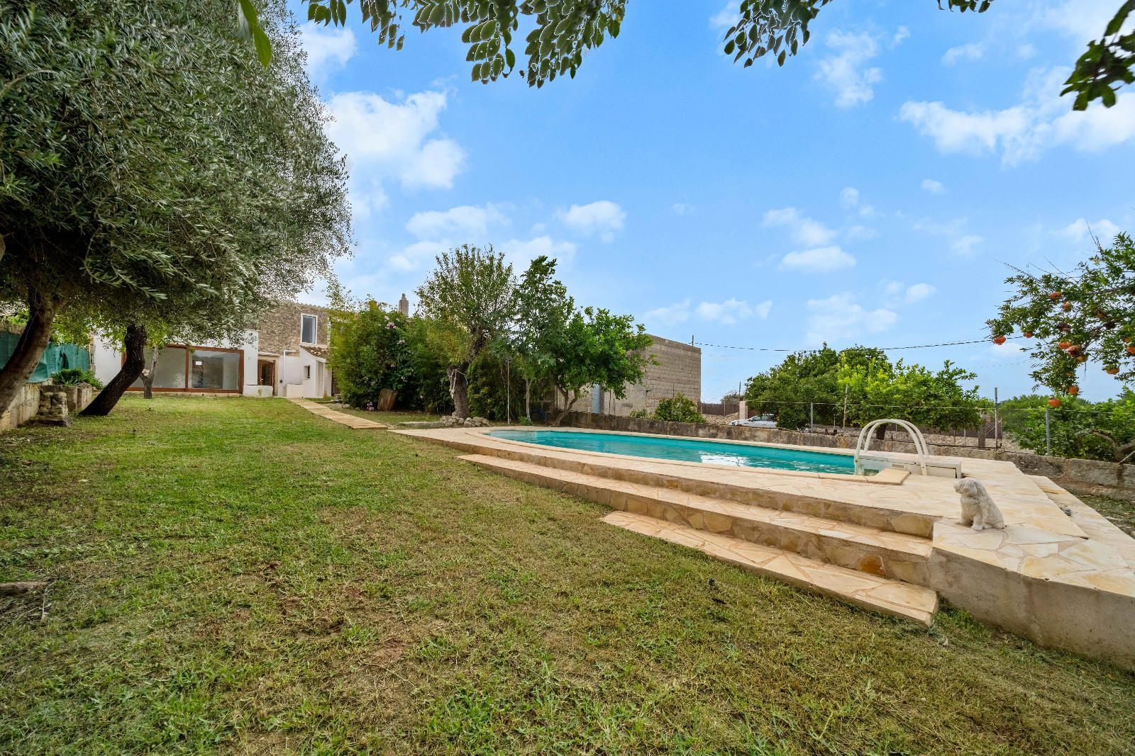 Casas o chalets-Venta-Campanet-1506163-Foto-35