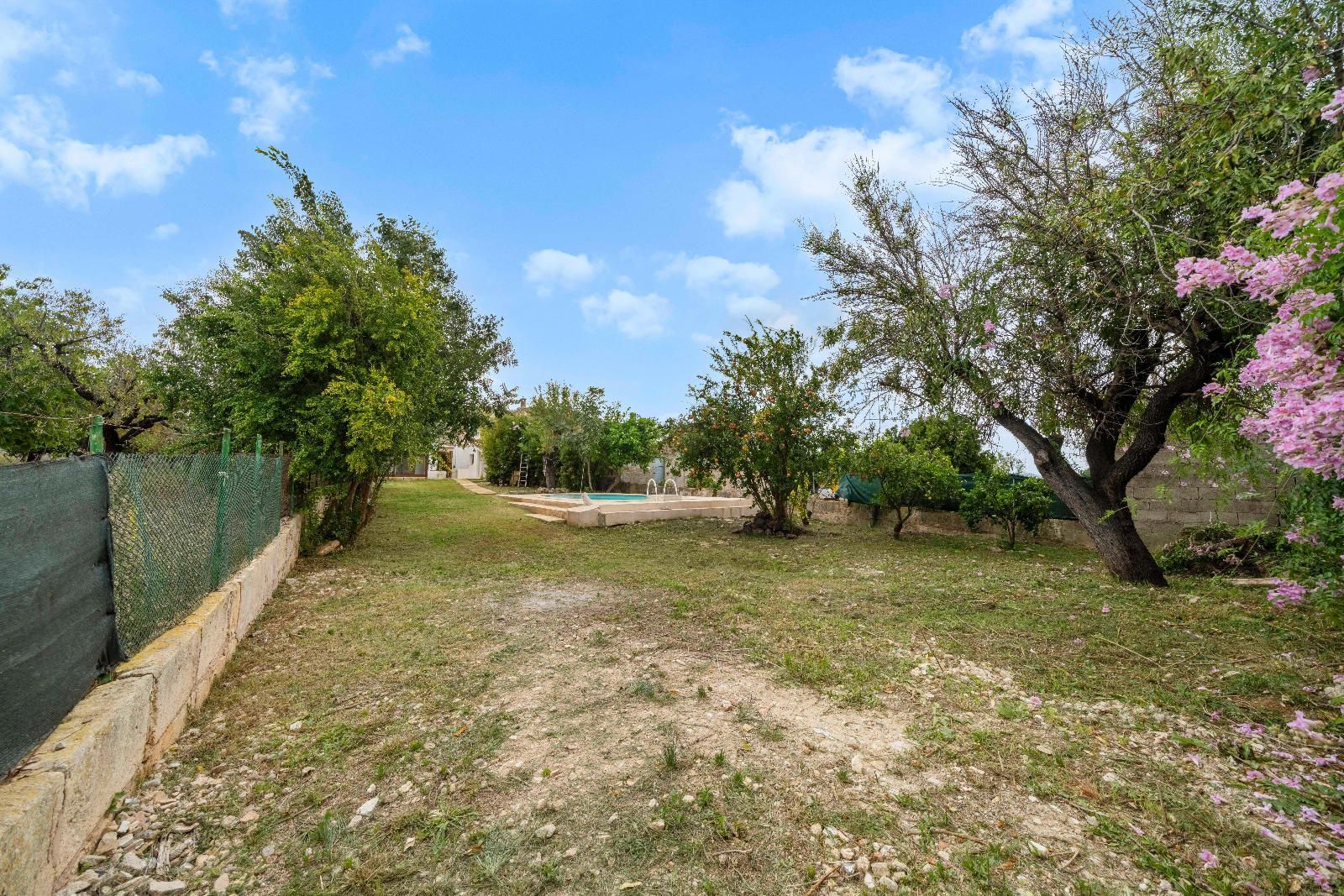 Casas o chalets-Venta-Campanet-1506163-Foto-38